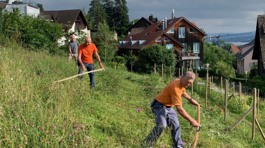 Mitglieder der Mähgruppe beim Heuen in der Winkelhalden